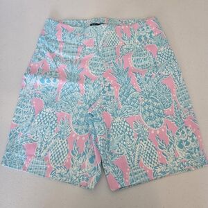 NWT Barbara Erickson Pink and Blue Pineapple Print Women's Shorts Size 8